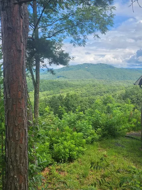 00 Soaring Eagle, Murphy, NC 28906 photo 10