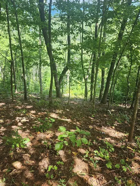 00 Soaring Eagle, Murphy, NC 28906 photo 13