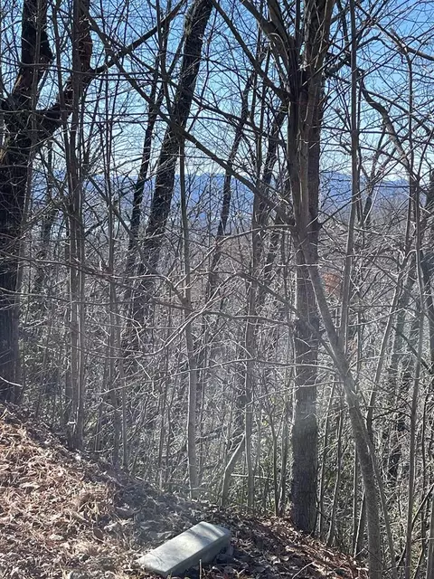lot29 J Ash Branch Rd, Hayesville, NC 28904