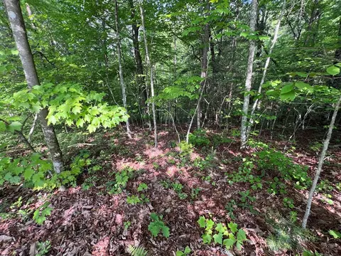 lot1 Weece Mtn, Murphy, NC 28906 photo 5