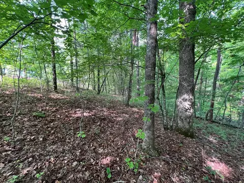 lot1 Weece Mtn, Murphy, NC 28906 photo 8