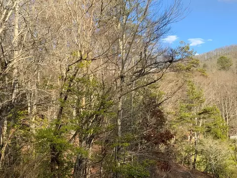 lot13 Ivy Log Rd, Murphy, NC 28906 photo 16