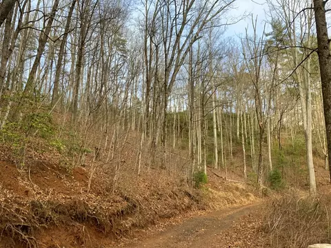 lot13 Ivy Log Rd, Murphy, NC 28906 photo 3