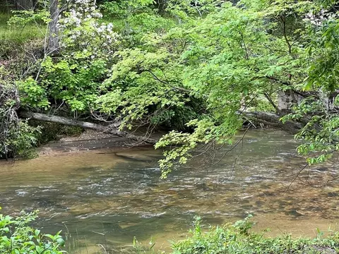 lot52 Madeline Way, Blairsville, GA 30512