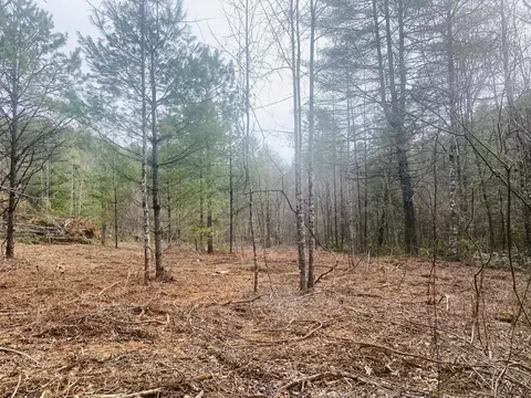 0 Flea Mountain Rd, Murphy, NC 28906 photo 10
