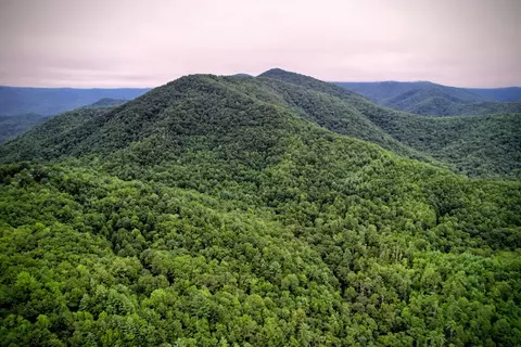0 Flea Mountain Rd, Murphy, NC 28906 photo 41