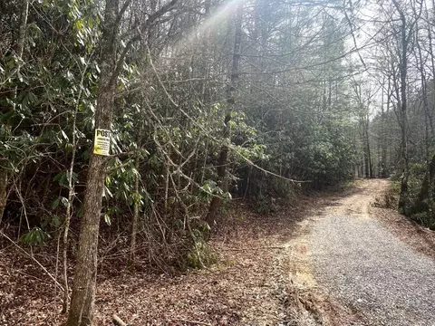 0 Flea Mountain Rd, Murphy, NC 28906 photo 21