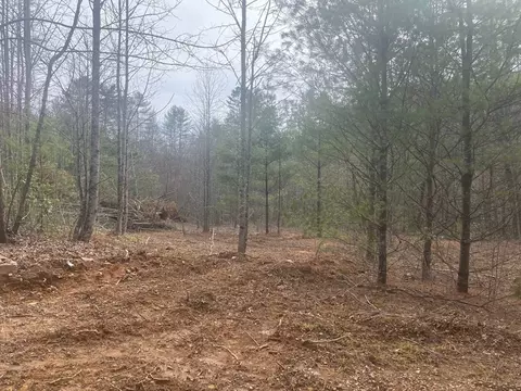 0 Flea Mountain Rd, Murphy, NC 28906 photo 4