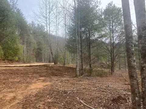 0 Flea Mountain Rd, Murphy, NC 28906 photo 6