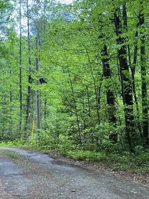 0 Flea Mountain Rd, Murphy, NC 28906 photo 26