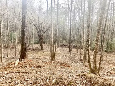 0 Flea Mountain Rd, Murphy, NC 28906 photo 13