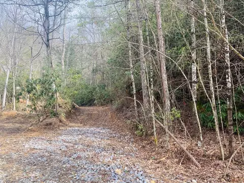 0 Flea Mountain Rd, Murphy, NC 28906 photo 20