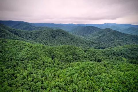 0 Flea Mountain Rd, Murphy, NC 28906 photo 43