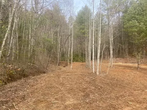 0 Flea Mountain Rd, Murphy, NC 28906 photo 5