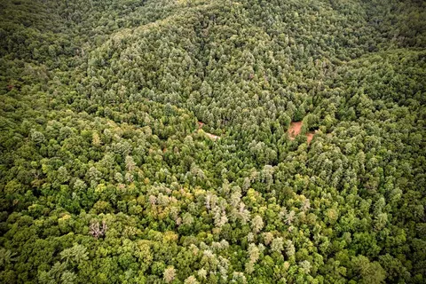 0 Flea Mountain Rd, Murphy, NC 28906 photo 34
