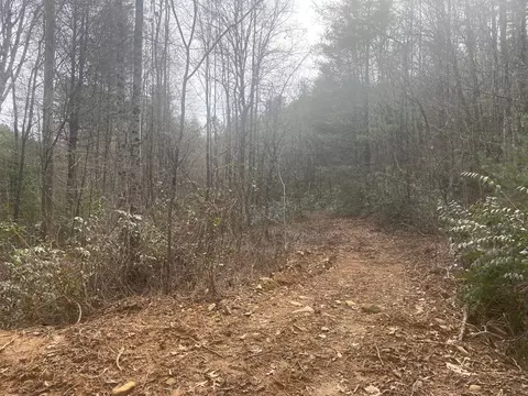 0 Flea Mountain Rd, Murphy, NC 28906 photo 7