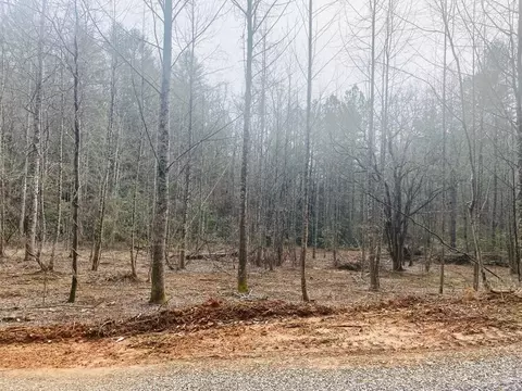 0 Flea Mountain Rd, Murphy, NC 28906 photo 15