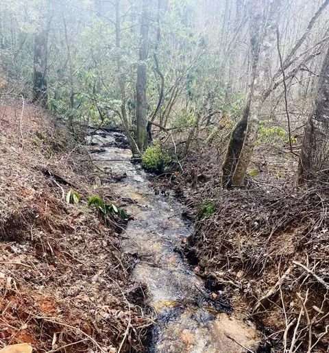 0 Flea Mountain Rd, Murphy, NC 28906 photo 17