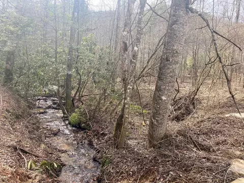0 Flea Mountain Rd, Murphy, NC 28906 photo 18