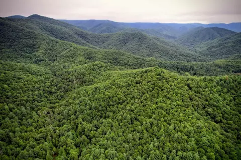 0 Flea Mountain Rd, Murphy, NC 28906 photo 35