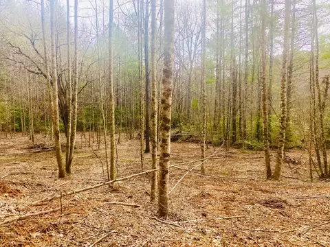 0 Flea Mountain Rd, Murphy, NC 28906 photo 12