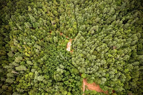 0 Flea Mountain Rd, Murphy, NC 28906 photo 38