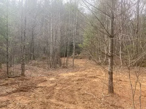 0 Flea Mountain Rd, Murphy, NC 28906 photo 3