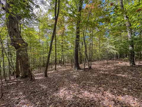 0 Wolf Print, Murphy, NC 28906 photo 11