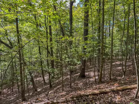 0 Wolf Print, Murphy, NC 28906 photo 15