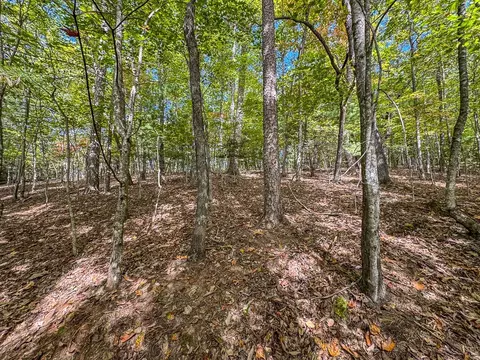 0 Wolf Print, Murphy, NC 28906 photo 16