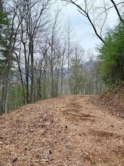 4651 Big Secret Ln, Murphy, NC 28906