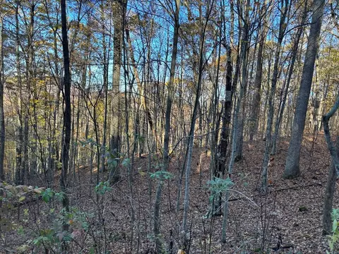 lot Apt 39 Falcon Stone Rdg, Nantahala, NC 28781