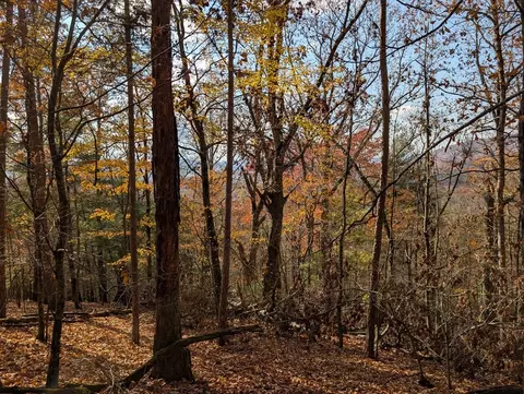 902 Mountain Top Dr, Murphy, NC 28906 photo 6