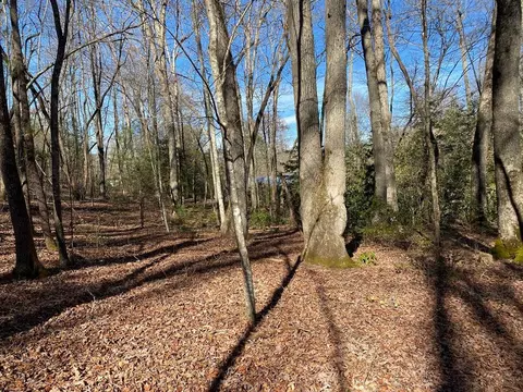 tbd Collett Wood Cv, Andrews, NC 28901