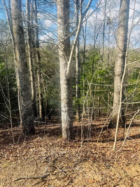 00 Ford Ln, Murphy, NC 28906 photo 14
