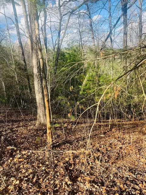 00 Ford Ln, Murphy, NC 28906 photo 6