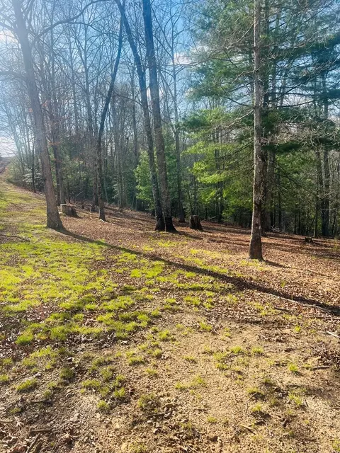 00 Ford Ln, Murphy, NC 28906 photo 13