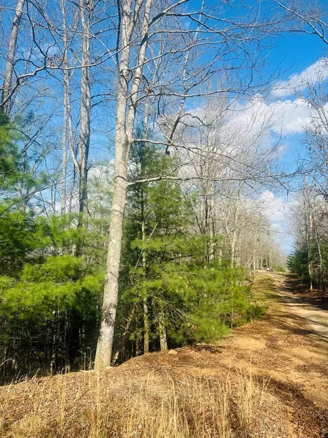 00 Ford Ln, Murphy, NC 28906 photo 5
