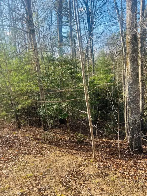 00 Ford Ln, Murphy, NC 28906 photo 11