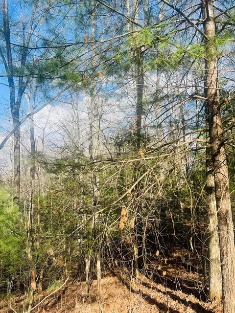 00 Ford Ln, Murphy, NC 28906 photo 8