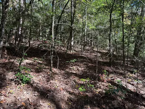lot6 Beaverdam Loop, Murphy, NC 28906 photo 2
