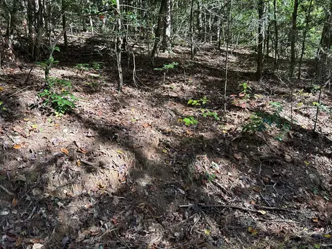 lot6 Beaverdam Loop, Murphy, NC 28906