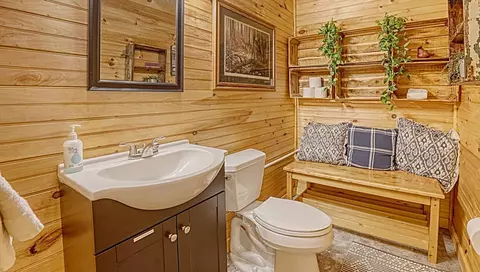 Bath - 145 Skyview Dr, Murphy, NC 28906 photo 3 of 3