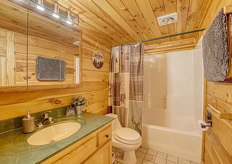 Bath - 145 Skyview Dr, Murphy, NC 28906 photo 1 of 3