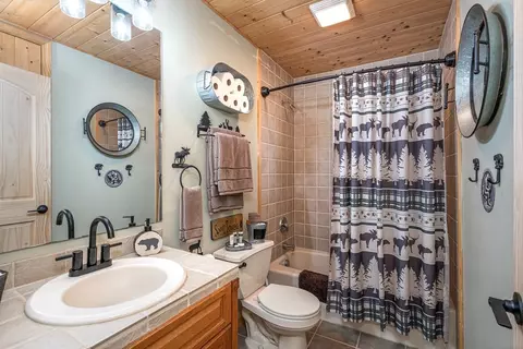 Bath - 240 Amandas Way, Murphy, NC 28906 photo 2 of 5