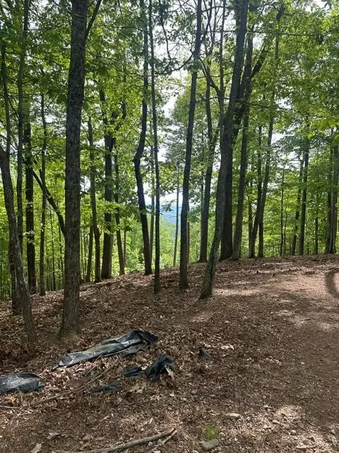 lot4 Hampton Knob, Murphy, NC 28906