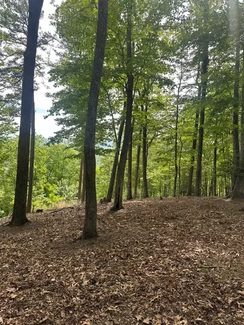 lot4 Hampton Knob, Murphy, NC 28906 photo 4