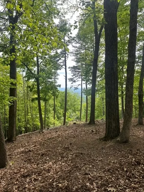 lot4 Hampton Knob, Murphy, NC 28906 photo 5