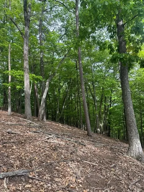 lot4 Hampton Knob, Murphy, NC 28906 photo 2
