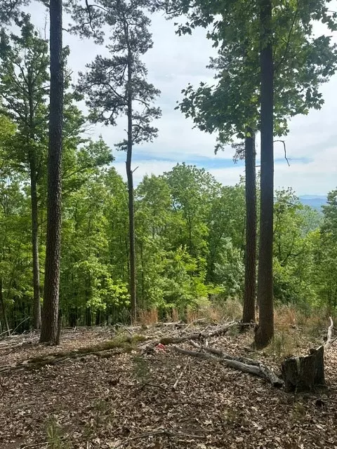 lot4 Hampton Knob, Murphy, NC 28906 photo 3